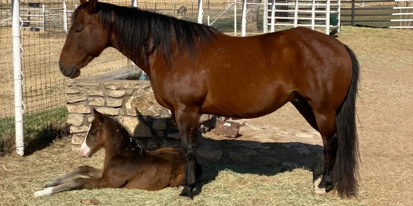 Touchstone Ranch Recovery Center