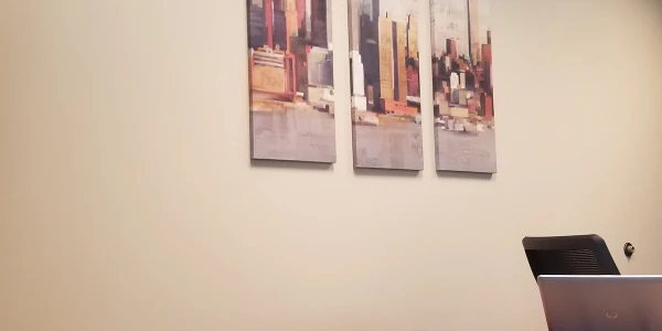 Harris Center for Mental Health and IDD