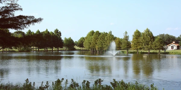 Burning Tree Recovery Ranch