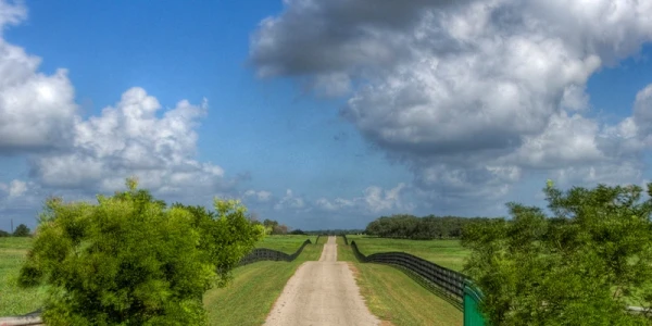 Arbor Behavioral Healthcare